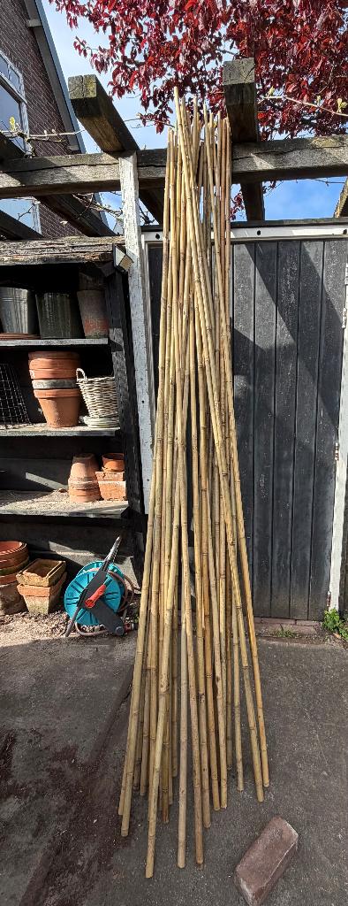 Bamboestokken Tonkin 22-24 mm, 270 cm, Tuin en Terras, Ophalen, Nieuw, 250 cm of meer, Palen