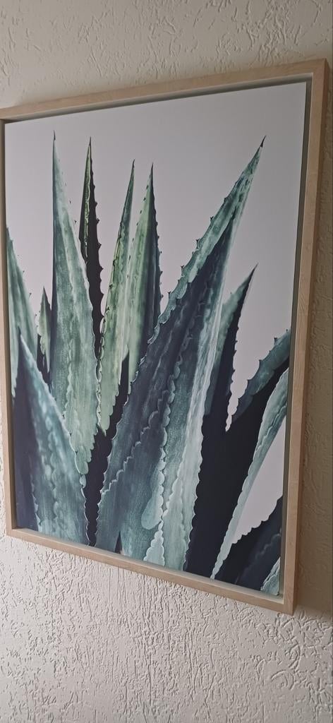 Groot Schilderij 70x100, Ophalen