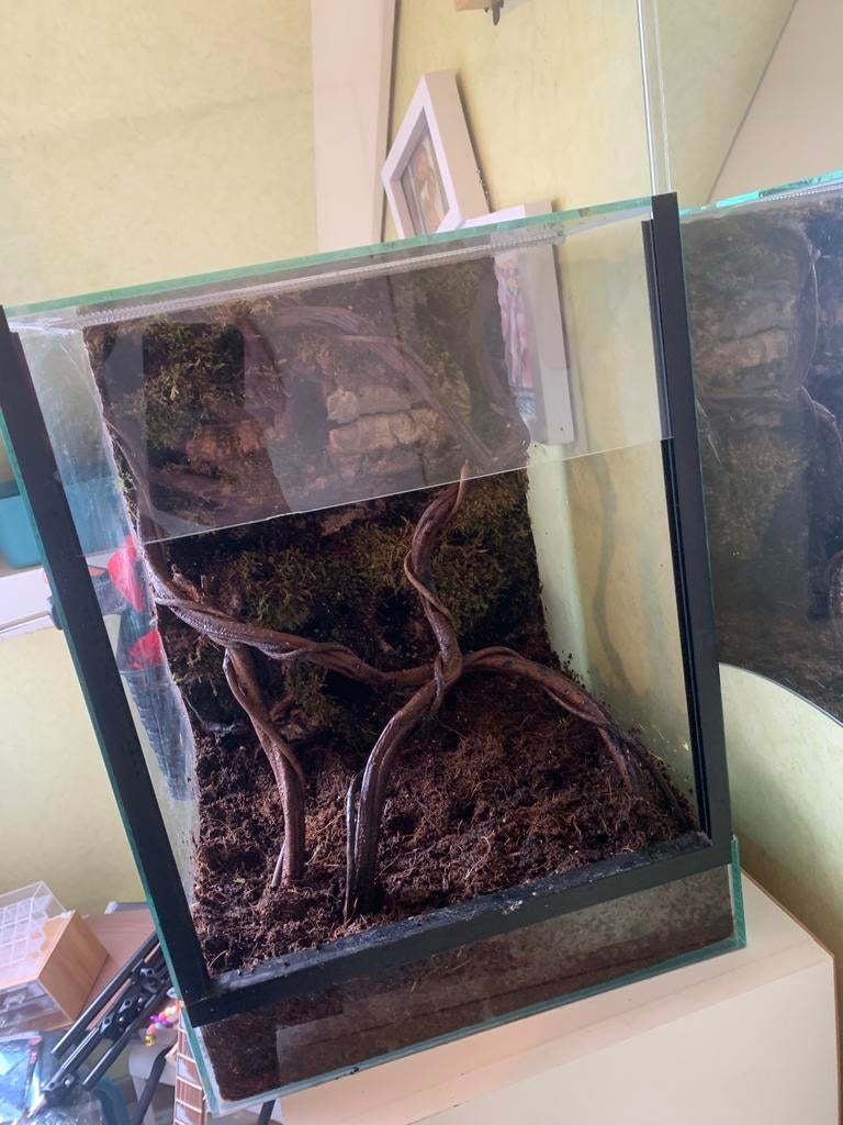 Klein terrarium, Dieren en Toebehoren, Reptielen en Amfibieën | Toebehoren, Ophalen, Gebruikt, Terrarium of Paludarium