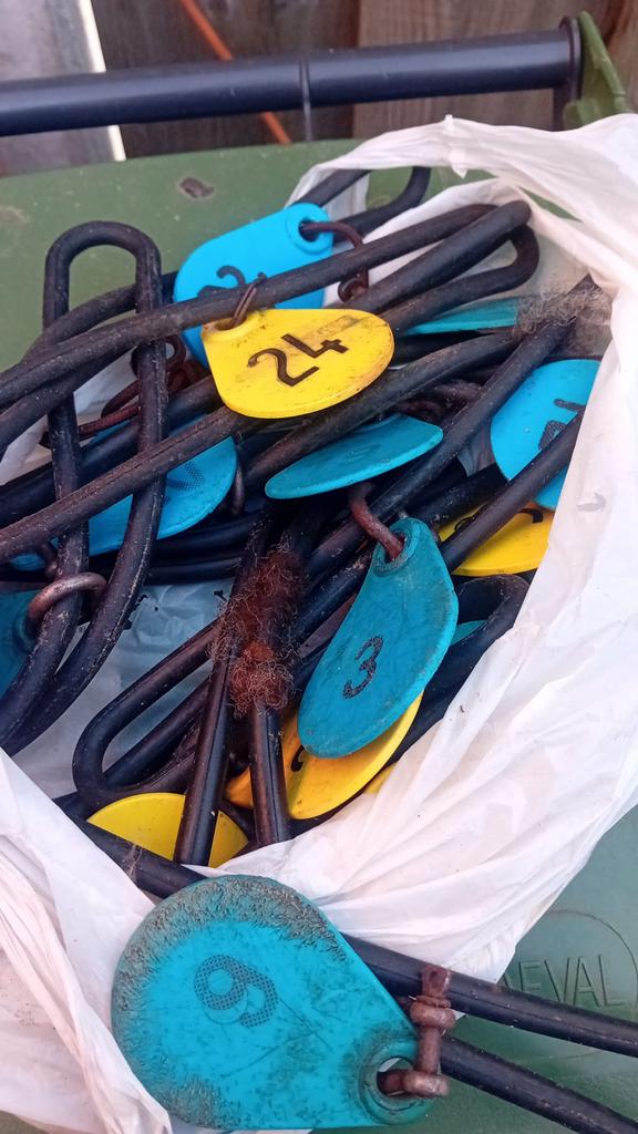 Schapen nummers, Dieren en Toebehoren, Vrouwelijk, Schaap