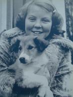 Beatrix - 70 welbestede jaren, Ophalen, Zo goed als nieuw, Tijdschrift of Boek