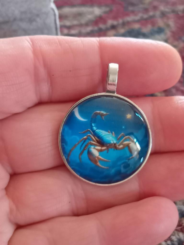 Zilverkleurige hanger met schorpioen, blauw, Overige materialen, Blauw, Nieuw, Ophalen of Verzenden