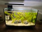 Aquarium inclusief vis, Ophalen, Zo goed als nieuw, Gevuld zoetwateraquarium