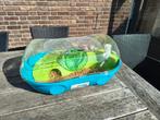 Hamsterkooi Gratis, Dieren en Toebehoren, Kooi, Minder dan 75 cm, Hamster, Ophalen