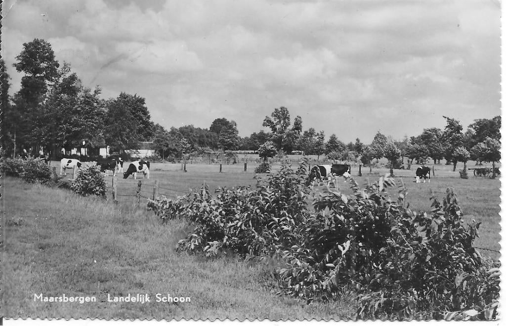 Maarsbergen Landelijk Schoon., Verzamelen, Ophalen of Verzenden, 1960 tot 1980, Gelopen, Limburg