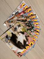 11 Penny strips + 2x penny extra 2022, Ophalen of Verzenden, Gelezen, Overige typen