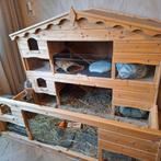 Caviaflat, Dieren en Toebehoren, 110 cm of meer, Hok, Cavia, Ophalen