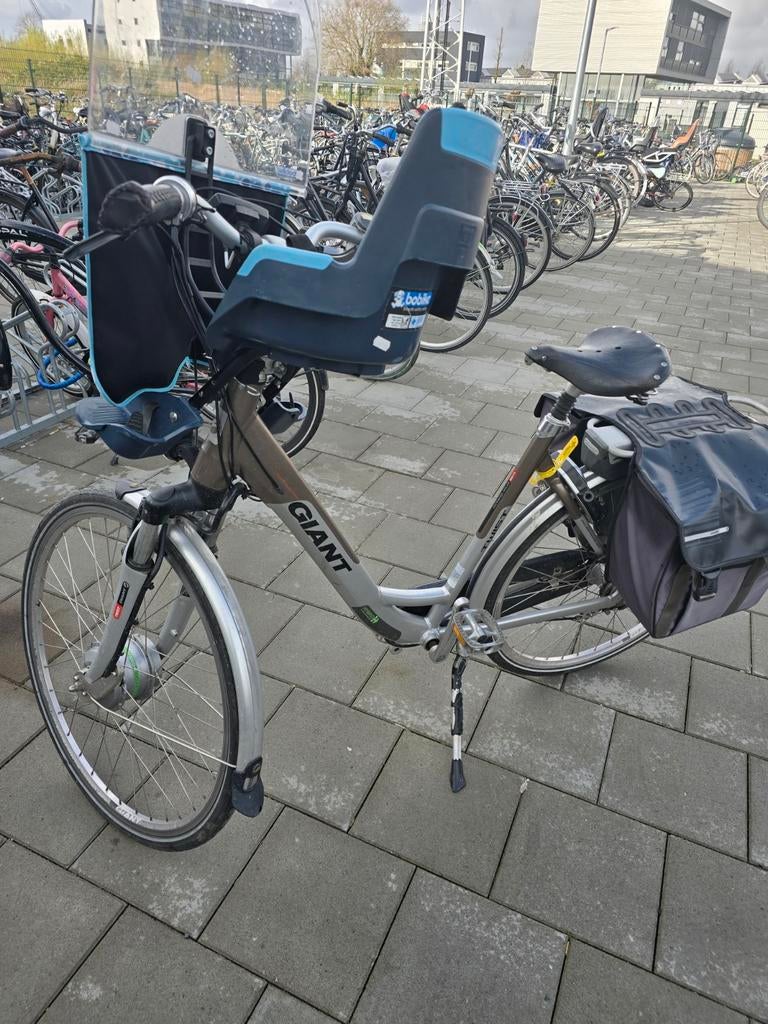 Giant Twist Double elektrische fiets, Fietsen en Brommers, Elektrische fietsen, Verzenden, Gebruikt, Giant