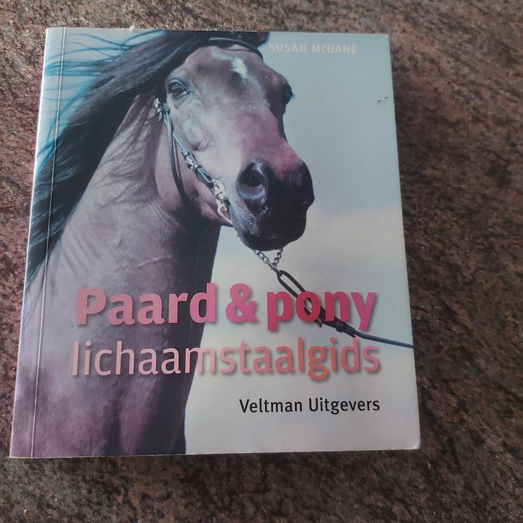 Paard & Pony Lichaamstaalgids - Susan McBane, Ophalen of Verzenden, Gelezen, Paarden of Pony's, Susan McBane