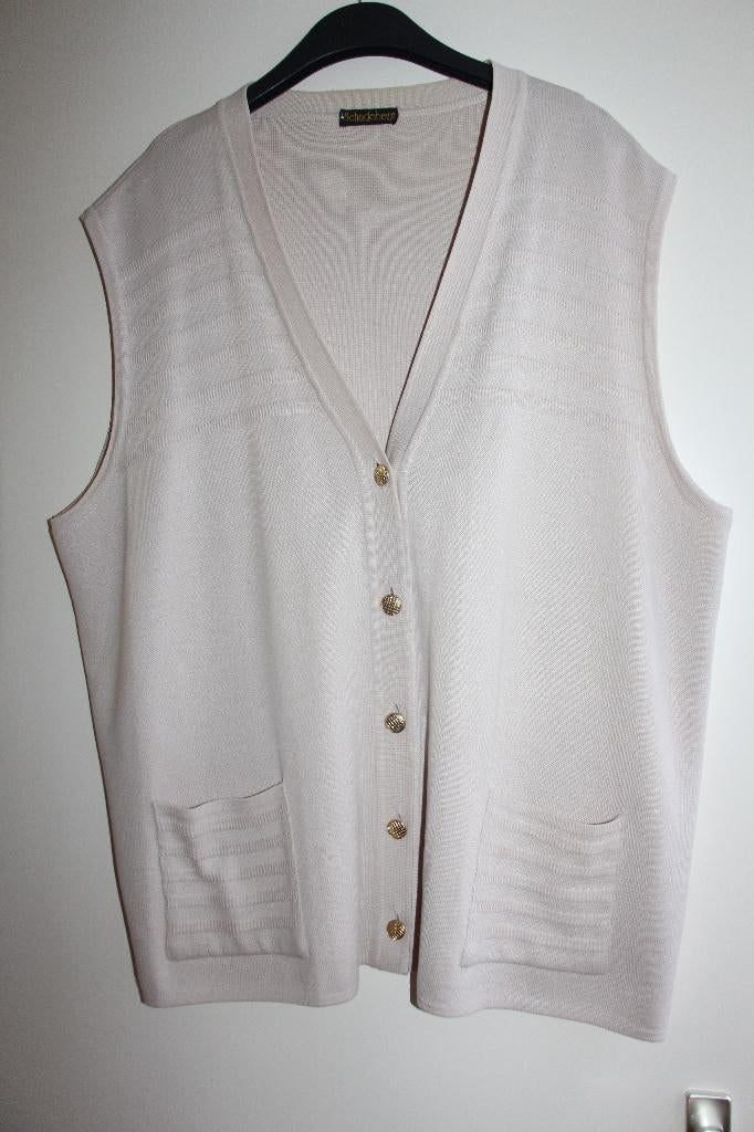 Merinowol dames vest maat 56, Kleding | Dames, Ophalen of Verzenden, Zo goed als nieuw, Overige kleuren, Trui of Vest