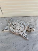 Nieuw houten schildpad, Ophalen of Verzenden, Nieuw