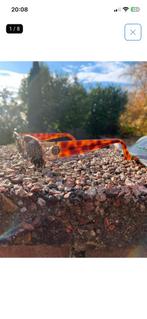 Sergio Tacchini zonnebril met hoes, Ophalen of Verzenden, Zo goed als nieuw, Zwart, Overige merken