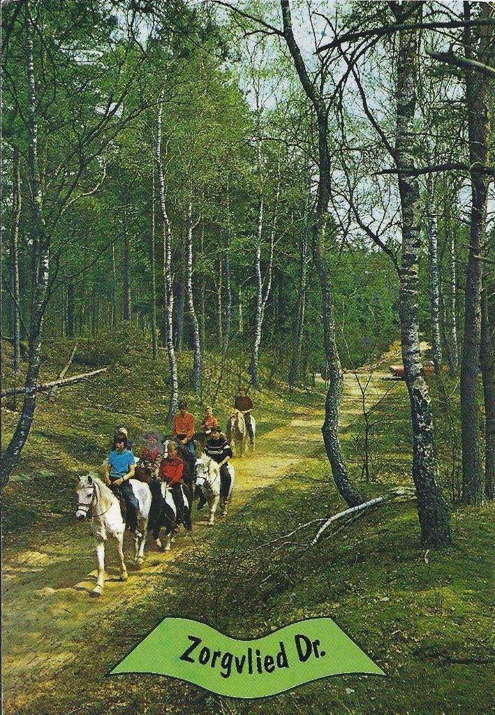 Q455 gelopen ansichtkaart zorgvlied, Verzenden, 1980 tot heden, Gelopen