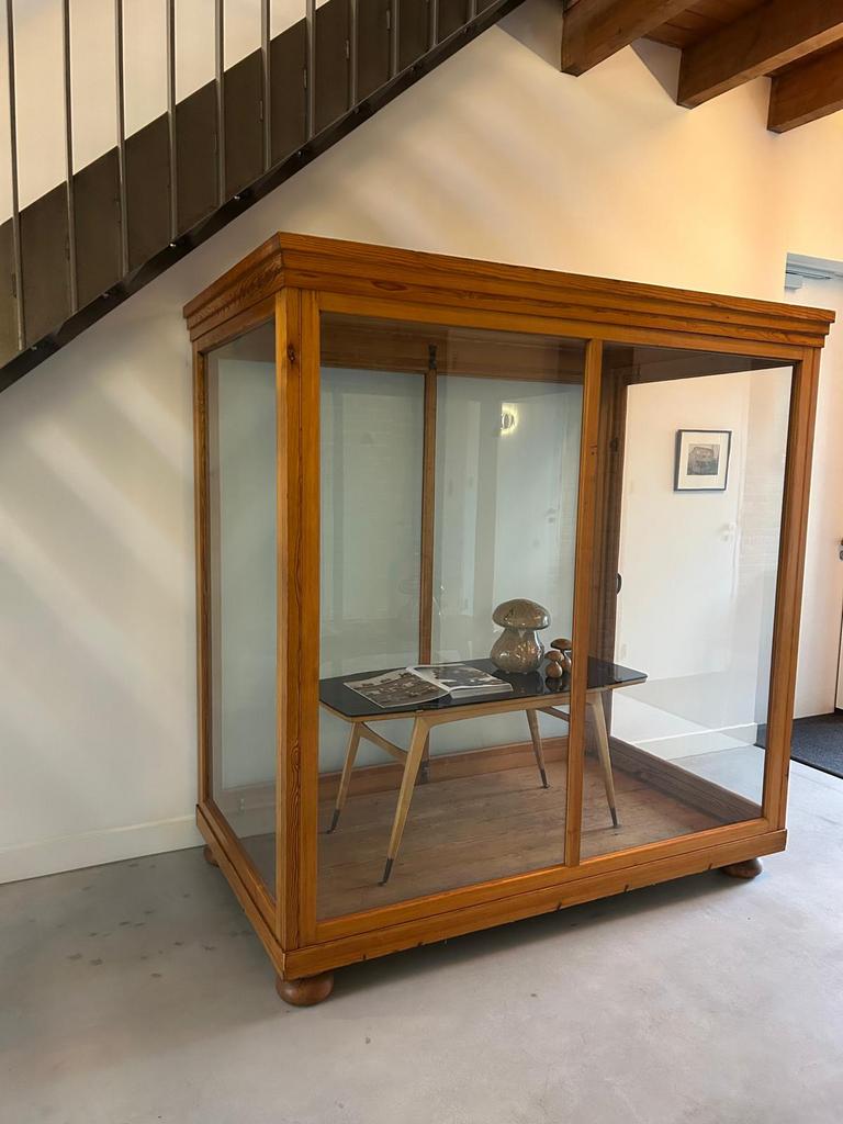Grote vitrinekast 1950s - glas & grenen - uniek vintage, Ophalen, 75 cm of meer, Zo goed als nieuw, 200 cm of meer
