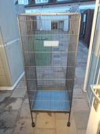 Kamer volière 2weken oud 50e, Ophalen, Volière