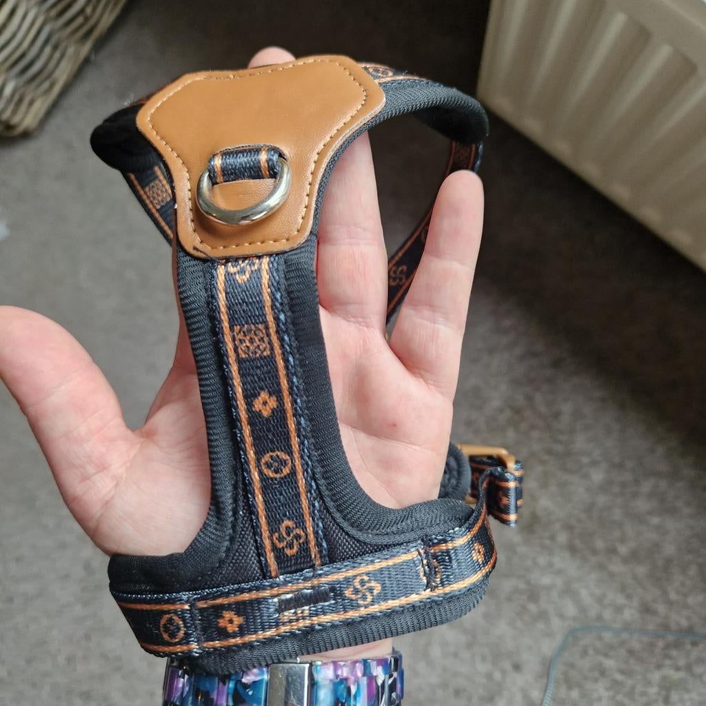 Hondentuig xs, Dieren en Toebehoren, Ophalen, Nieuw