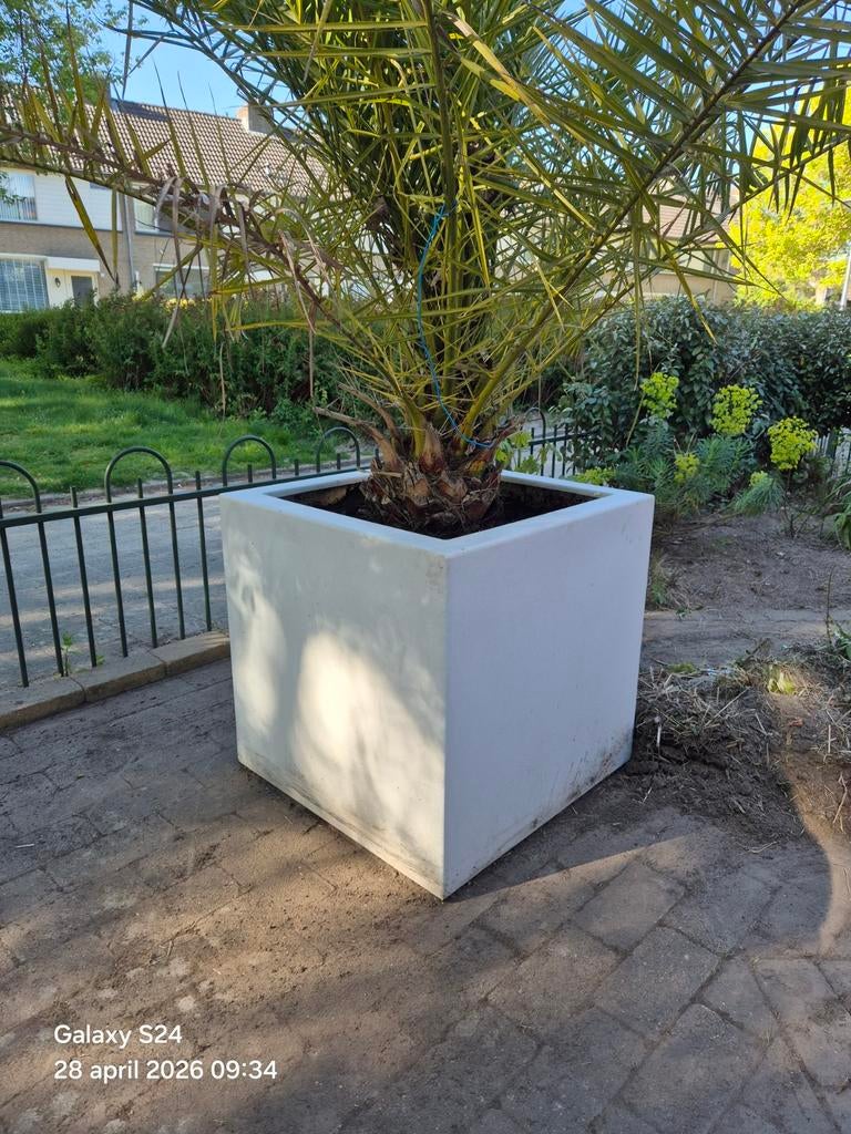 Grote vierkante plantenbak 80x80 cm (2 beschikbaar), Gebruikt, Vierkant, Ophalen of Verzenden, Balkon