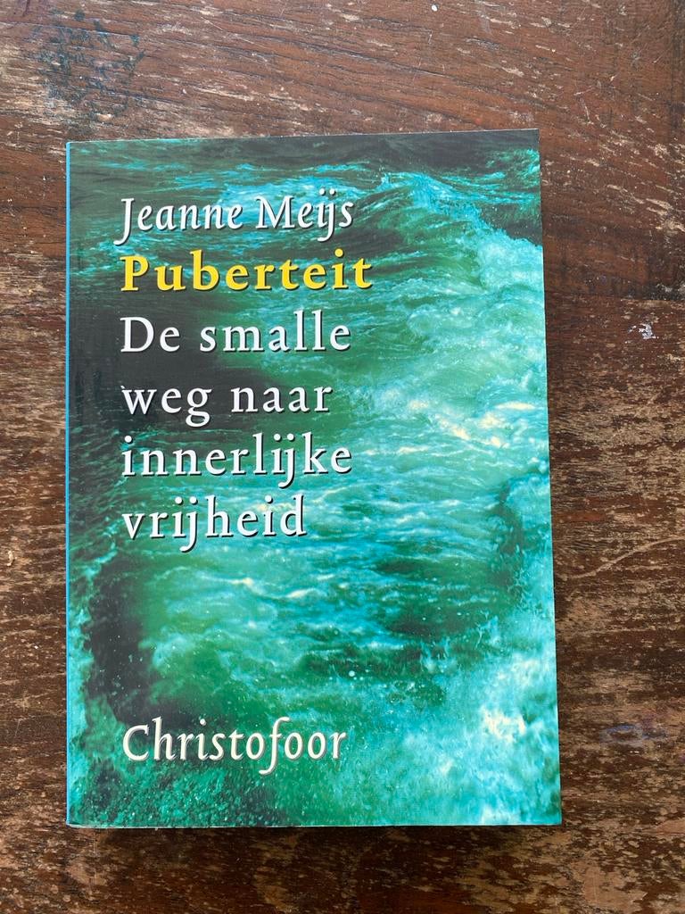 Puberteit: De smalle weg naar innerlijke vrijheid, Boeken, Ophalen of Verzenden, Gelezen