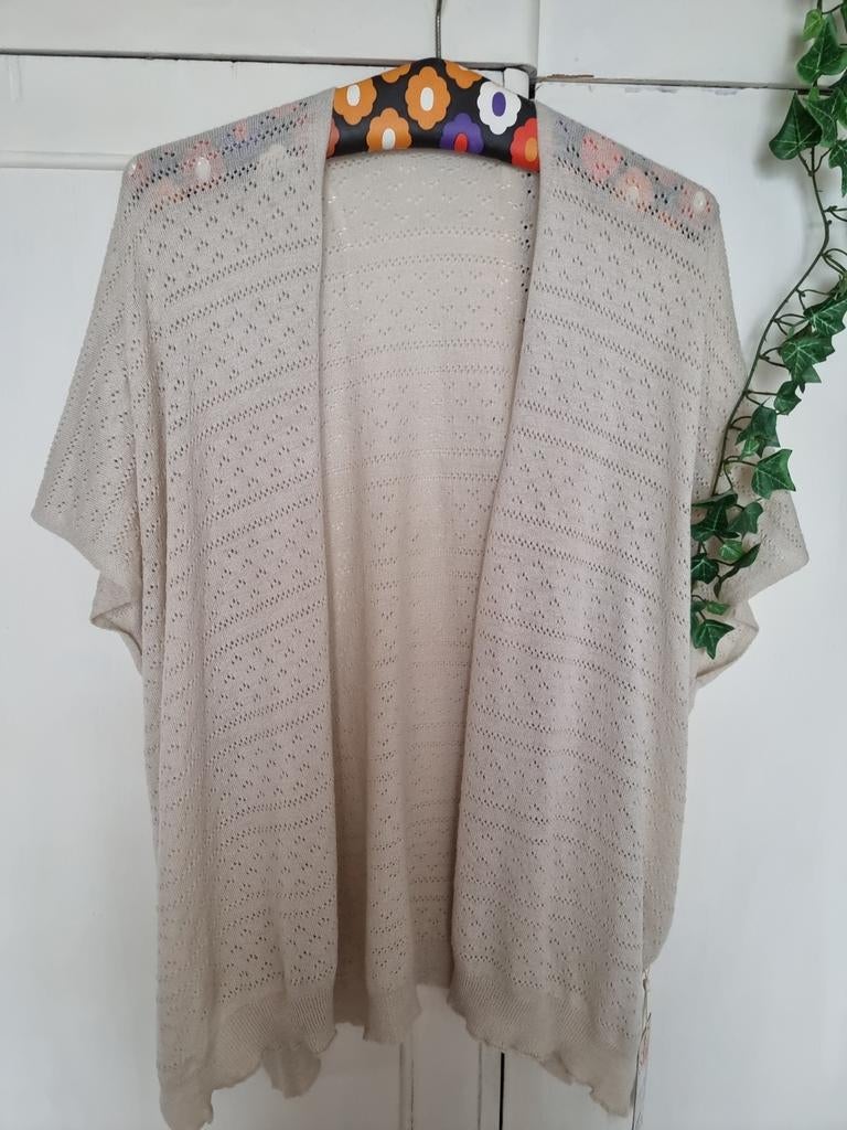 Stijlvol vest in ajour patroon; NIEUW, Kleding | Dames, Truien en Vesten, Beige, Maat 42/44 (L), Ophalen of Verzenden, Cream