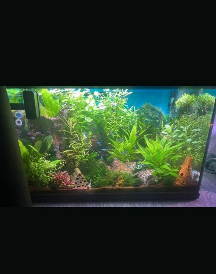 Start 150 tropical kit, Dieren en Toebehoren, Vissen | Aquaria en Toebehoren, Zo goed als nieuw, Leeg aquarium, Ophalen