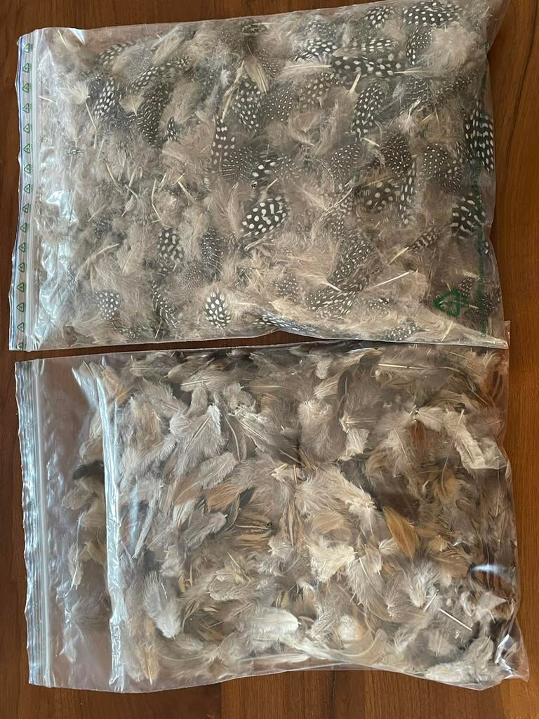 Twee zakken met veren, decoratie hobbymateriaal, hoeden, Overige thema's, Overige typen, Meerkleurig, Ophalen of Verzenden