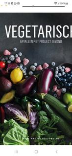 Project gezond. Vegetarisch, Boeken, Gezondheid, Dieet en Voeding, Dieet en Voeding, Project Gezond, Nieuw, Ophalen of Verzenden