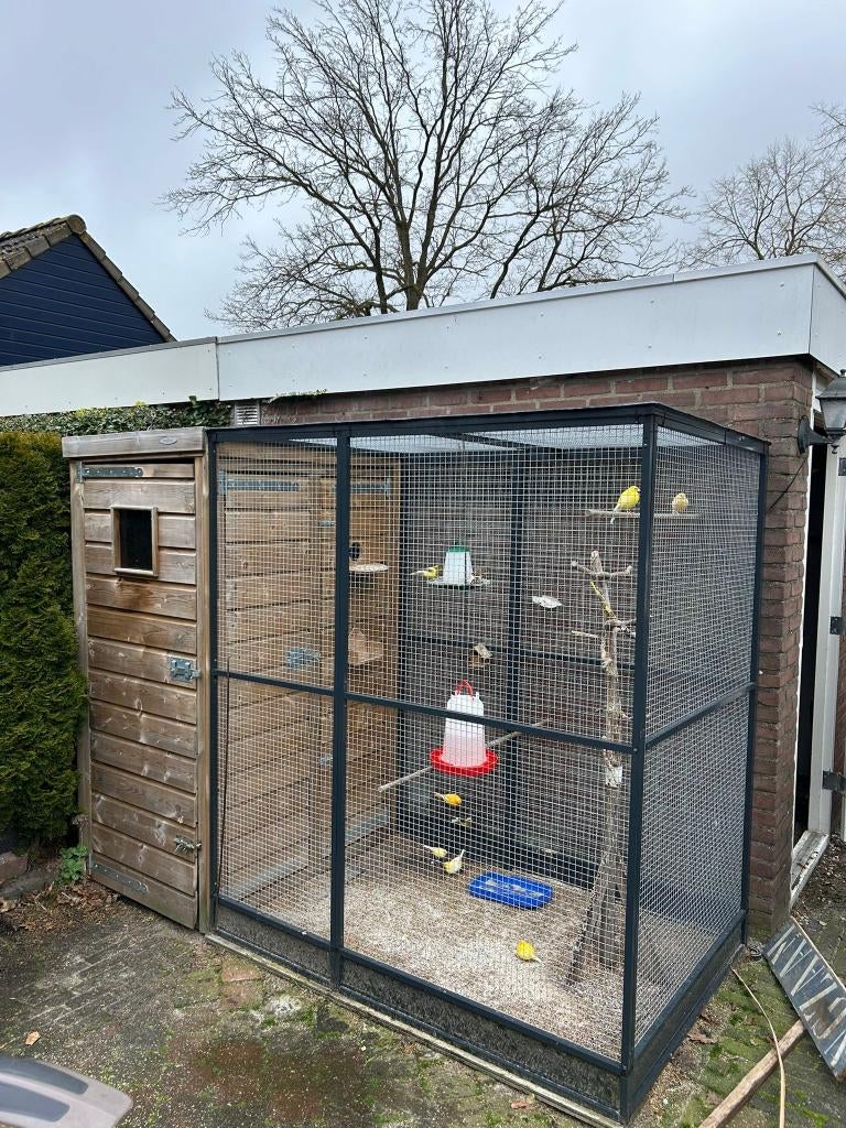 Voliere hout/aluminium, Ophalen, Gebruikt, Overige materialen, Volière