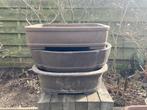 Bonsai Schalen, Ophalen, Gebruikt, 40 cm of meer, Minder dan 40 cm