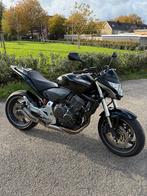 Honda Hornet, Particulier, Naked bike