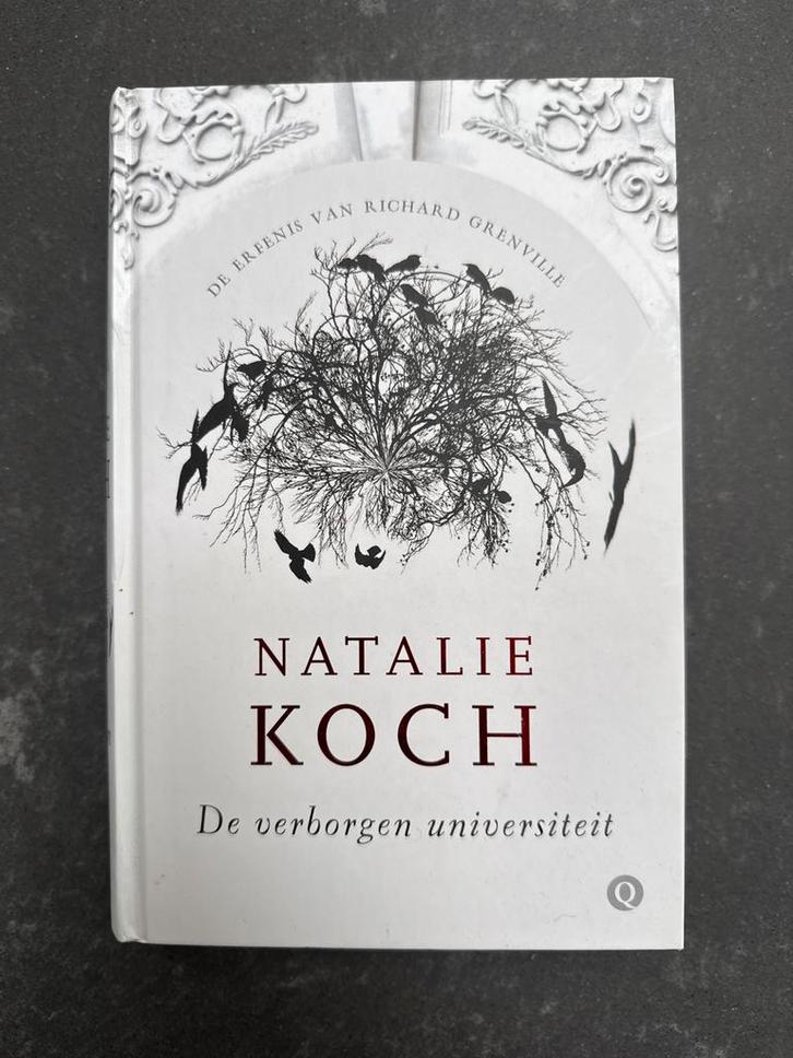 De verborgen universiteit - Natalie Koch, Boeken, Romans, Gelezen, Nederland, Ophalen of Verzenden