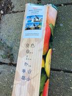 Appelboom, Lente, Volle zon, Ophalen of Verzenden, Appelboom