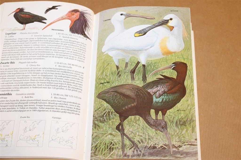 Vogels van Europa — Determinatiegids 2700 Afbeeldingen 560p, Ophalen of Verzenden, Gelezen, Vogels