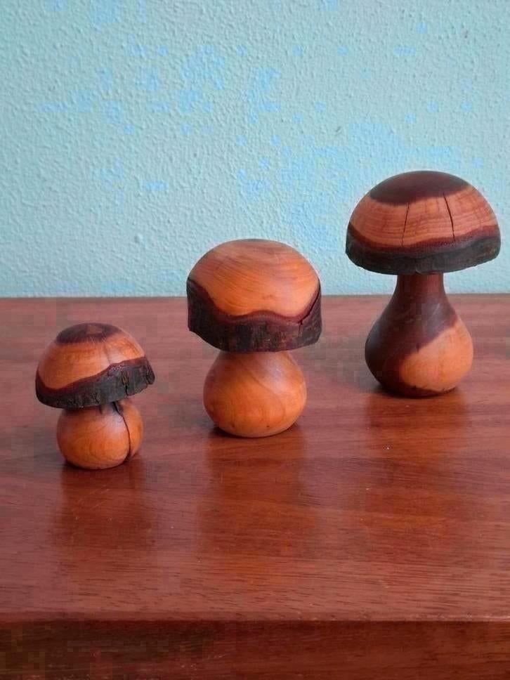 Vintage handgemaakte set van 3 houten paddenstoelen, Ophalen of Verzenden