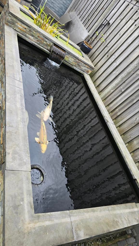 Vijverrand koivijver 20cm breed., Ophalen, Gebruikt