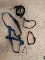 Diverse hondenriemen /tuigjes halsbanden €15,-, Ophalen of Verzenden, Gebruikt