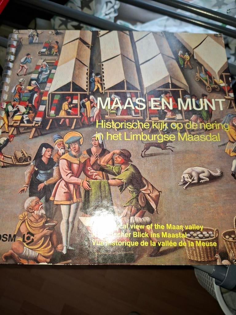 Maas en Munt: Historische kijk op Limburgs Maasdal, Ophalen of Verzenden, Gelezen, Onbekend, Limburg