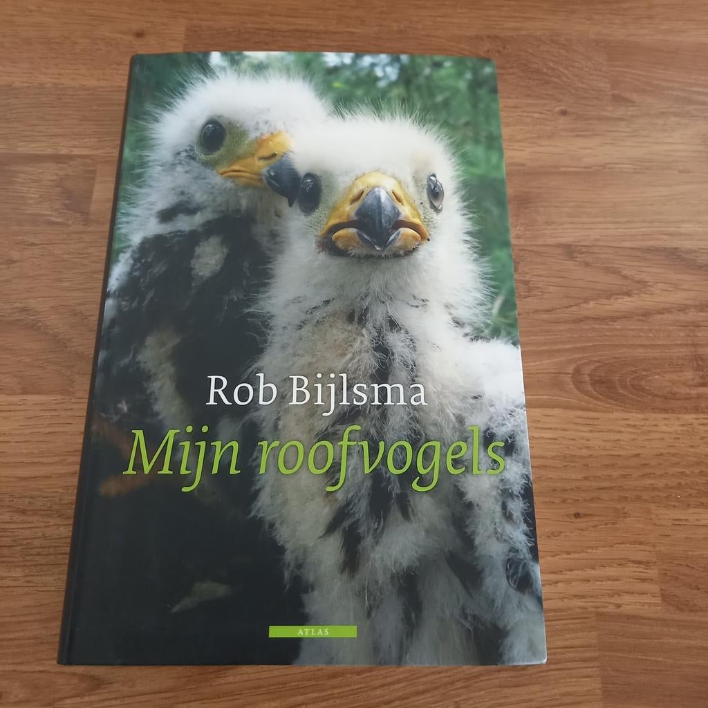 Mijn roofvogels - Rob Bijlsma (Nieuwstaat), Ophalen of Verzenden