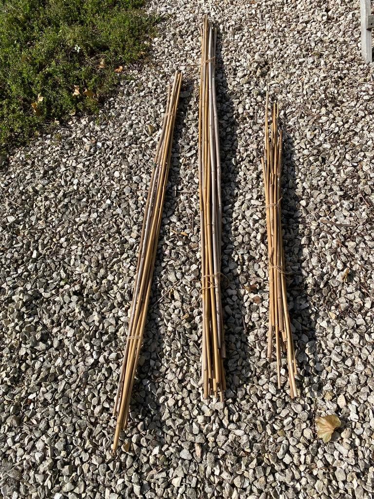 Bamboestokken diverse lengtes, Tuin en Terras, Palen, Balken en Planken, Ophalen of Verzenden, Zo goed als nieuw, Minder dan 180 cm