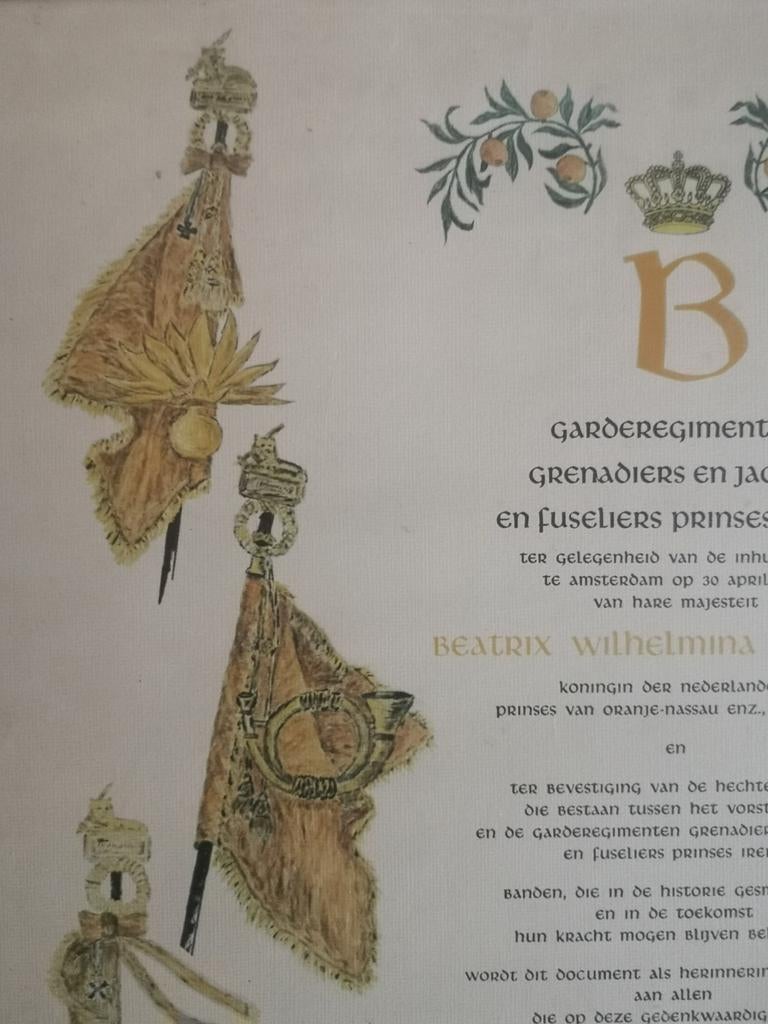 Garderegimenten Grenadiers, Jagers en Fuseliers, Verzamelen, Ophalen of Verzenden, Landmacht, Nederland