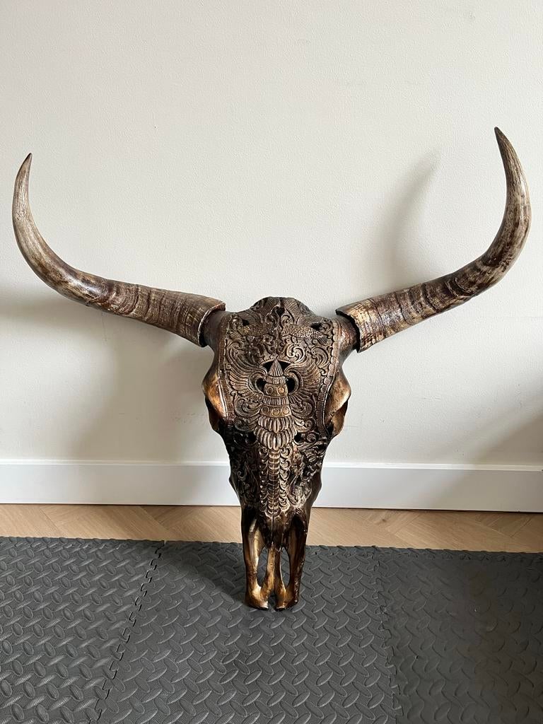 Bronzen schedel voor aan de muur - Zo goed als nieuw, Huis en Inrichting, Ophalen of Verzenden, Zo goed als nieuw