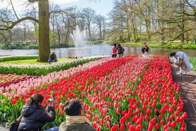 Keukenhof Tickets 17-04, Drie personen of meer, Arrangement, Ticket of Toegangskaart