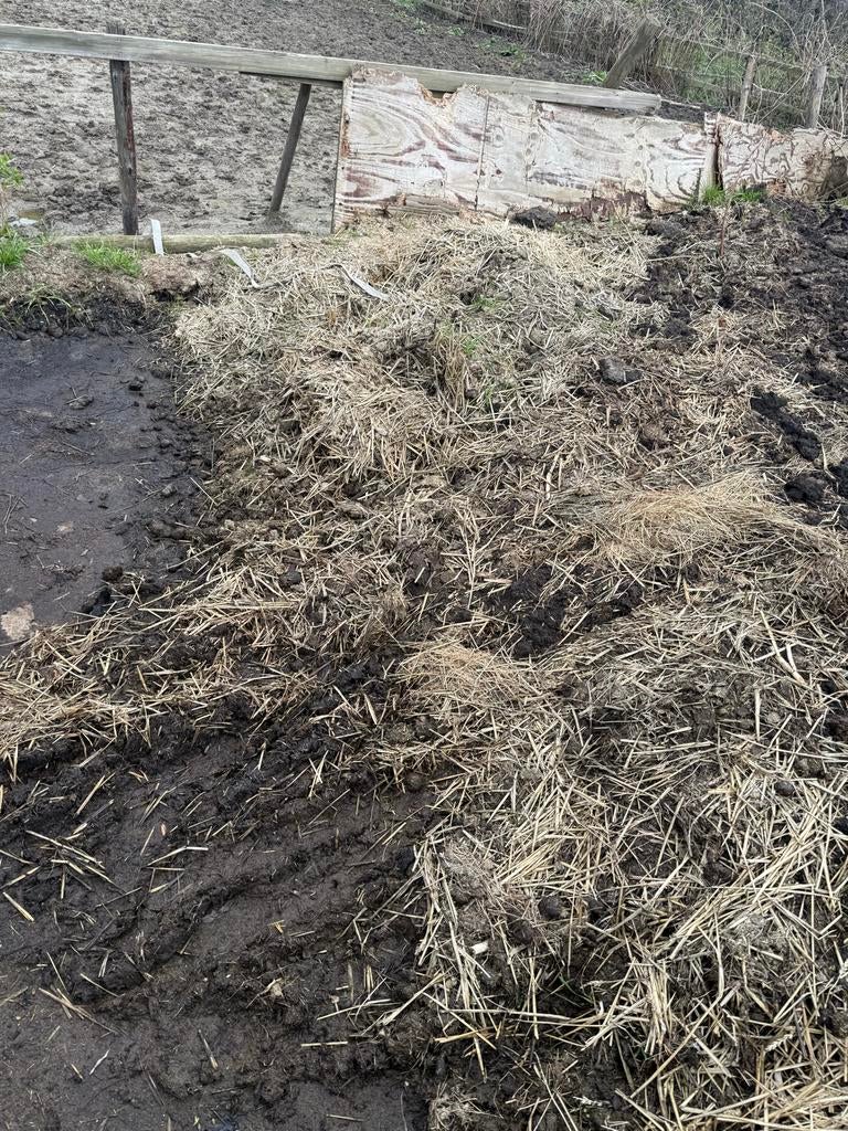 Paardenmest vers en oudere mest, Ophalen, Mest