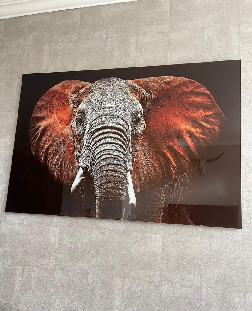 Wanddecoratie olifant op glas 120x80 cm, Ophalen