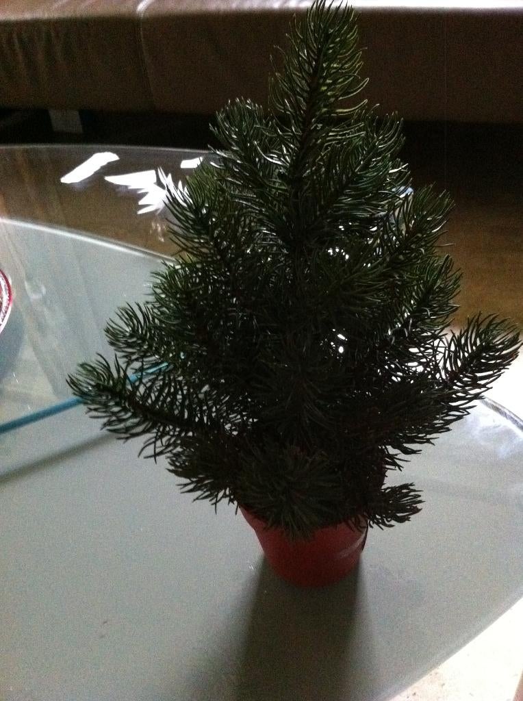 Kerstboompje in Pot net echt Hoogte: 35 cm Nieuw, Diversen, Ophalen of Verzenden, Nieuw