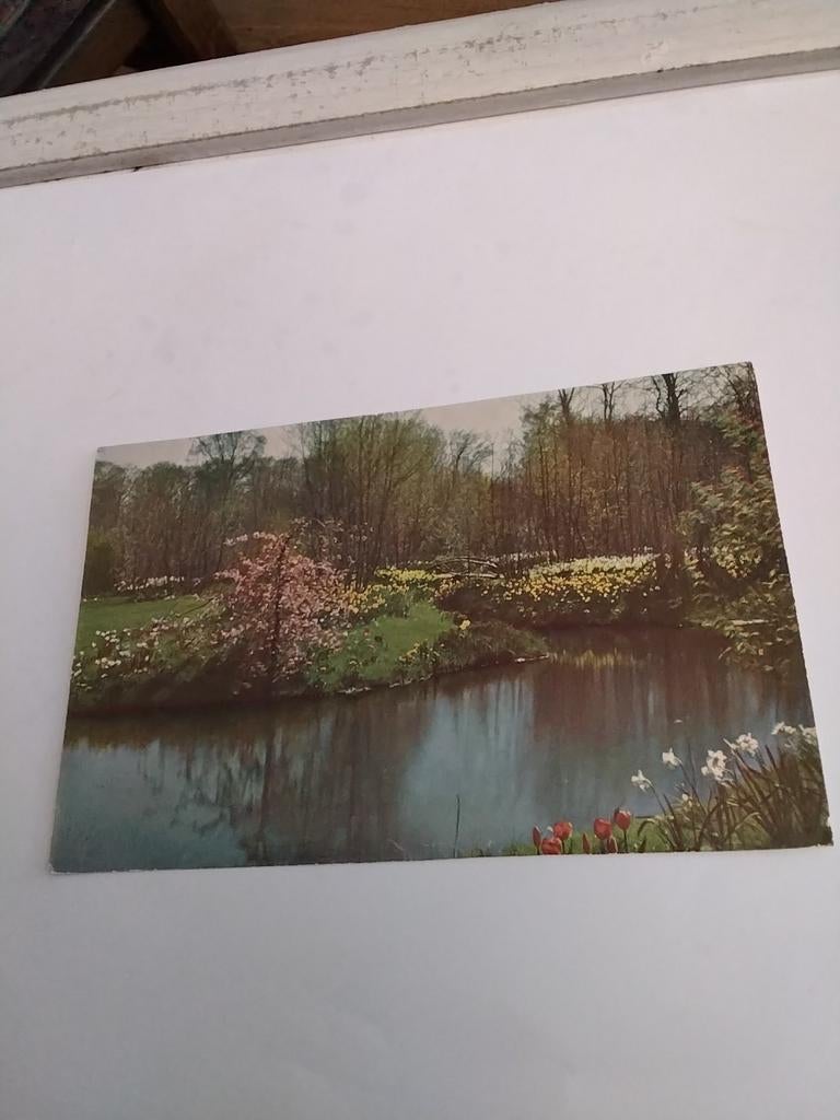 KEUKENHOF. 1952.  LISSE, Ophalen of Verzenden, 1940 tot 1960