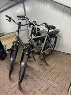 Stella Livorno 2 stuks, Ophalen, Nieuw, Stella