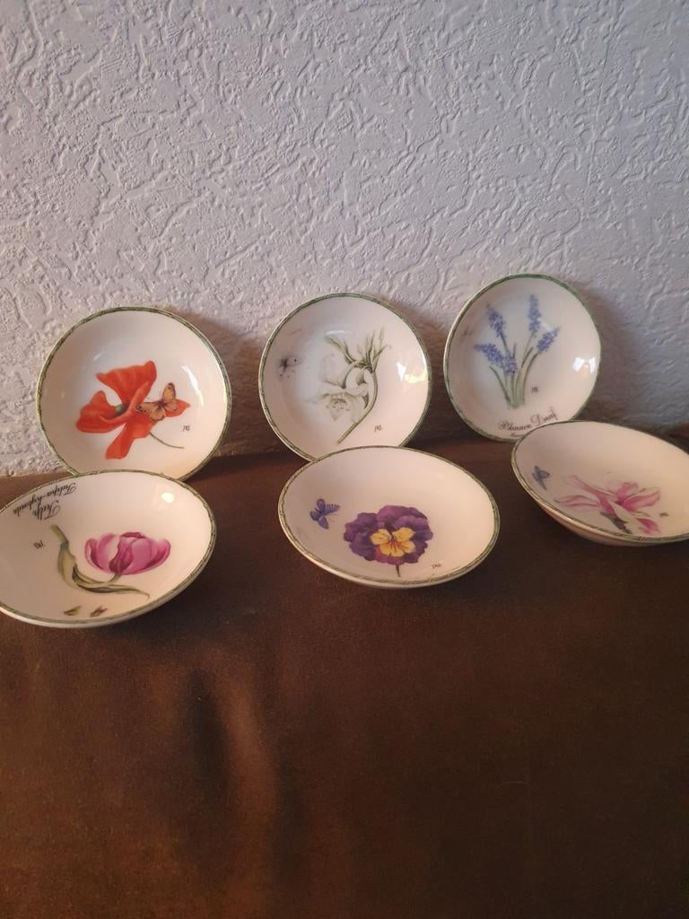 Janneke Brinkman, Ophalen of Verzenden