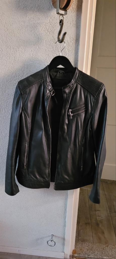 Leren dames jack van Carlo Sacchi, Ophalen of Verzenden, Zo goed als nieuw, Maat 46/48 (XL) of groter, Bruin