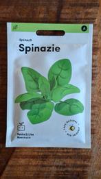 Makkelijke moestuin - Spinazie zaden, Ophalen, Volle zon