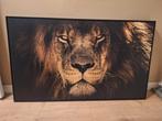 Canvas schilderij leeuw in frame 120x70, Huis en Inrichting, Woonaccessoires | Schilderijen, Tekeningen en Foto's, Ophalen, Zo goed als nieuw